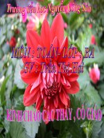 Tuân 25. Luyện tập (tiếp theo)