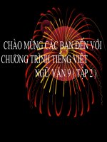 Các thành phần biệt lập(103)