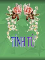 tính từ và cụm tính từ