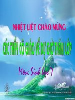 da dang va dac diem chung cua lop chim