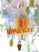 Tập đọc: Luật tục xưa của người Ê-đê