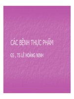 Bài giảng Các bệnh thực phầm   Lê Hoàng Ninh