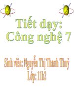 QUANG SPCN B: 49 CN 7