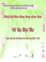 Truyện; Nhổ củ cải