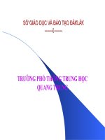 PT đường thẳng(ST)