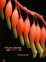 Chúc mừng ngày 8/3