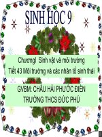 Sinh9-tiet43sv&mt