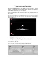 Chọn một vùng bất kỳ trong photoshop pdf