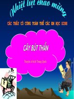 van ban cay but than