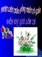 GAĐT . Kể chuyện Lớp 5