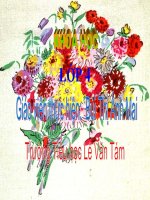 baigiang-khoahoc-duthi-8/3-Mai