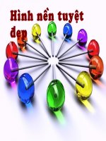 Hình nền tham khảo