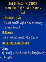 thực hành xem fim tập tính ở động vật