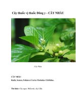 Cây thuốc vị thuốc Đông y - CÂY NHÀU doc