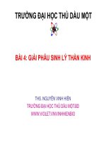 HỆ THẦN KINH VÀ GIÁC QUAN NGƯỜI