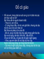 Những câu chuyện trong giáo dục