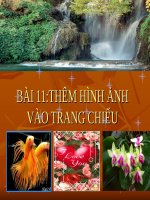 BÀI 11 THÊM HÌNH ẢNH VÀO TRANG CHIẾU