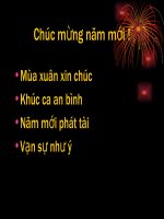 Bài thơ chúc mừng năm mới