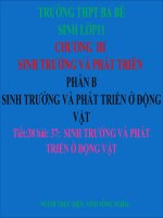 bai 37 sinh 11 cơ bản