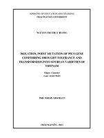 PHD thesis abstrac isolation, point mutation of P5CS gene conferring drought tolerance and transformion into soybean varieties of vietnam