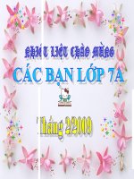 HĐNGLL Lớp 7 Tháng 2