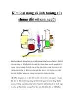 Kim loại nặng và ảnh hưởng của chúng đối với con người pdf