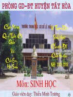 Quan the nguoi (me tui soan)