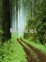 Tiet 52 lop hai la mam