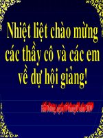Hich tuong si