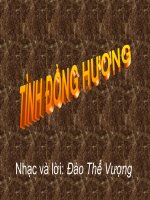 TÌNH ĐỒNG HƯƠNG_Nhac và lời ĐÀO THẾ VƯỢNG