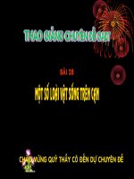 Bài 28 Một số loài vật sống ở trên cạn