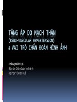 Bài giảng Tăng áp do mạch thận (reno vascular hypertension)  vai trò chẩn đoán hình  Hoàng Minh Lợi