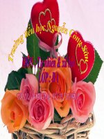 Tuần 25 Côn trùng