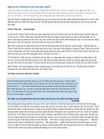 Ngô nghê những đoạn văn