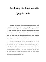 Ảnh hưởng của thức ăn đến tác dụng của thuốc pdf
