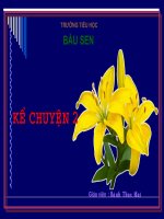 KC : Chim son ca va bong cuc trang