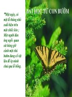 bài học con buom