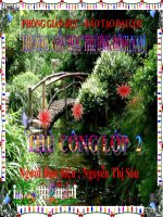 TC- Gấp, cắt, dán hình tròn-SÁU