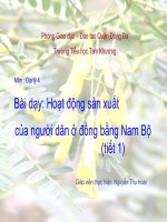 hoạt động sản xuất của người dân ở đồng bằng Nam Bộ