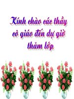 tiết 45 bài thực hành 6: Em tập chỉnh sửa văn bản