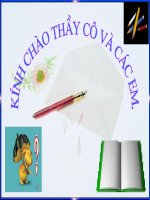 Bài 45. Dây thần kinh tủy (xem được)