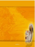 Tổng hợp hình nềncho ppt3