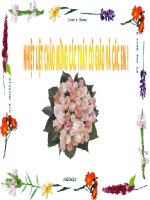 sắp xếp và lọcdu liệu