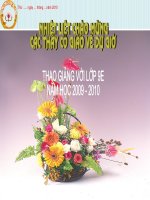 Tiết 64: Ôn tập chương IV (Đại số 9)