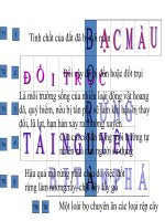 On tap Khoa hoc Lop 5