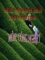 le ngoc quang SPCN brvt