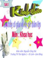 sự sinh sản của ếch