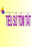 tiểu sử tóm tắt