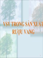 công nghệ sản xuất rượu vang