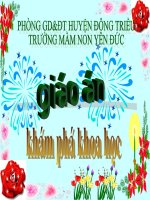 G.án KPKH- Một số loại hoa  Chủ đề TGTV lớp 5-6 tuổi  ( G.án dự thi GVDG năm học 2009-2010)